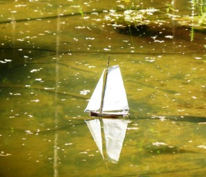 mini zb no2 in vijver,aangepast2,gedraaid