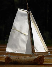 mini zb no2,aangepast2,gedraaid