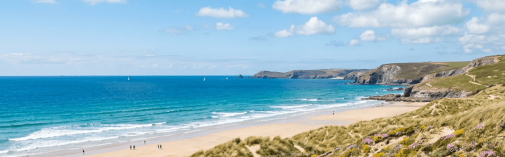 Wildflower-covered coastal path with sandy beach and ocean waves
